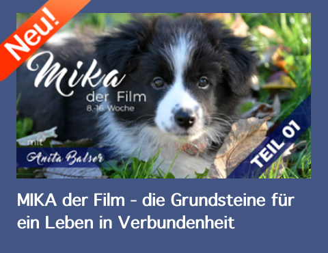 Mika - der Film