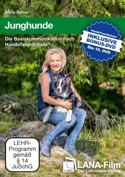 Junghunde – Die Basiskommunikation nach HundeTeamSchule®