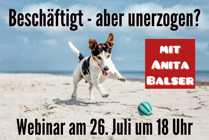 Webinar am 26.7.25<br>Beschäftigt – aber unerzogen?