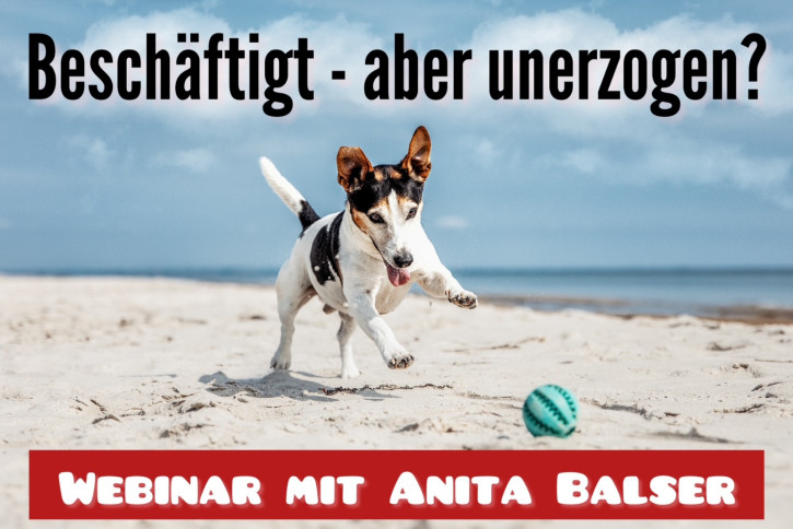 Webinaraufzeichnung<br>Beschäftigt – aber unerzogen?