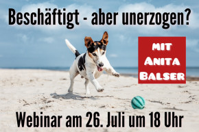 Webinar am 26.7.25<br>Beschäftigt – aber unerzogen?