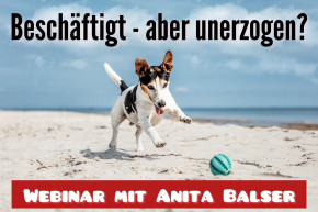 Webinaraufzeichnung<br>Beschäftigt – aber unerzogen?